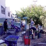 teenagers chipping in