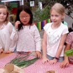 Quintilian Vegetable garden