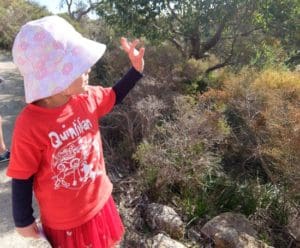 Experiencing Nature in the Outdoor Classroom. Quintilian Child birdwatching in a bush environment. .