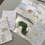 Quintilian School | Learning French through stories | The Very Hungry Caterpillar French Book