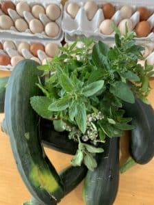 Plentiful bounty. Quintilian garden a prize-winner. Stephanie Alexander Kitchen Garden Foundation #kitchengardenaprons.