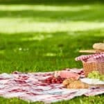 picnic crop